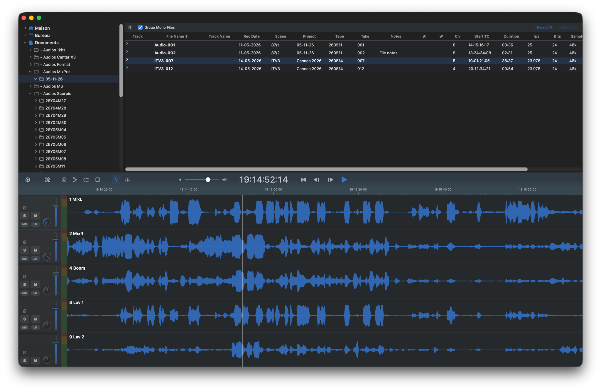 Multitrack Waveform / Vertical & Horizontal Resize